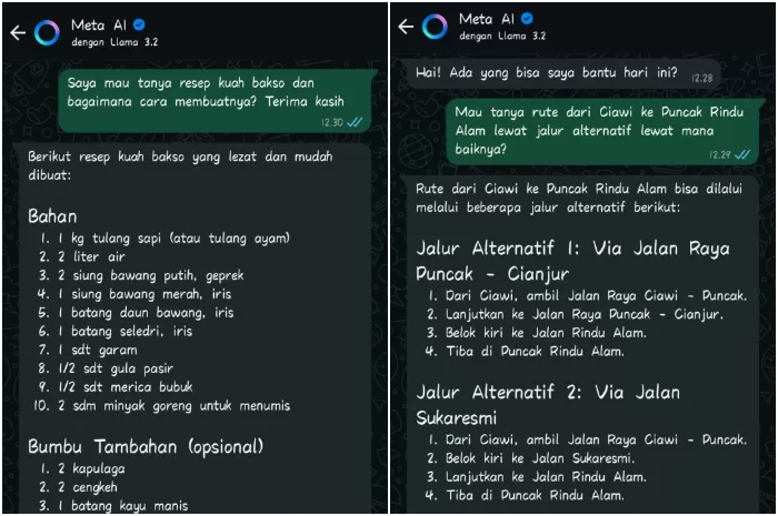 meta ai