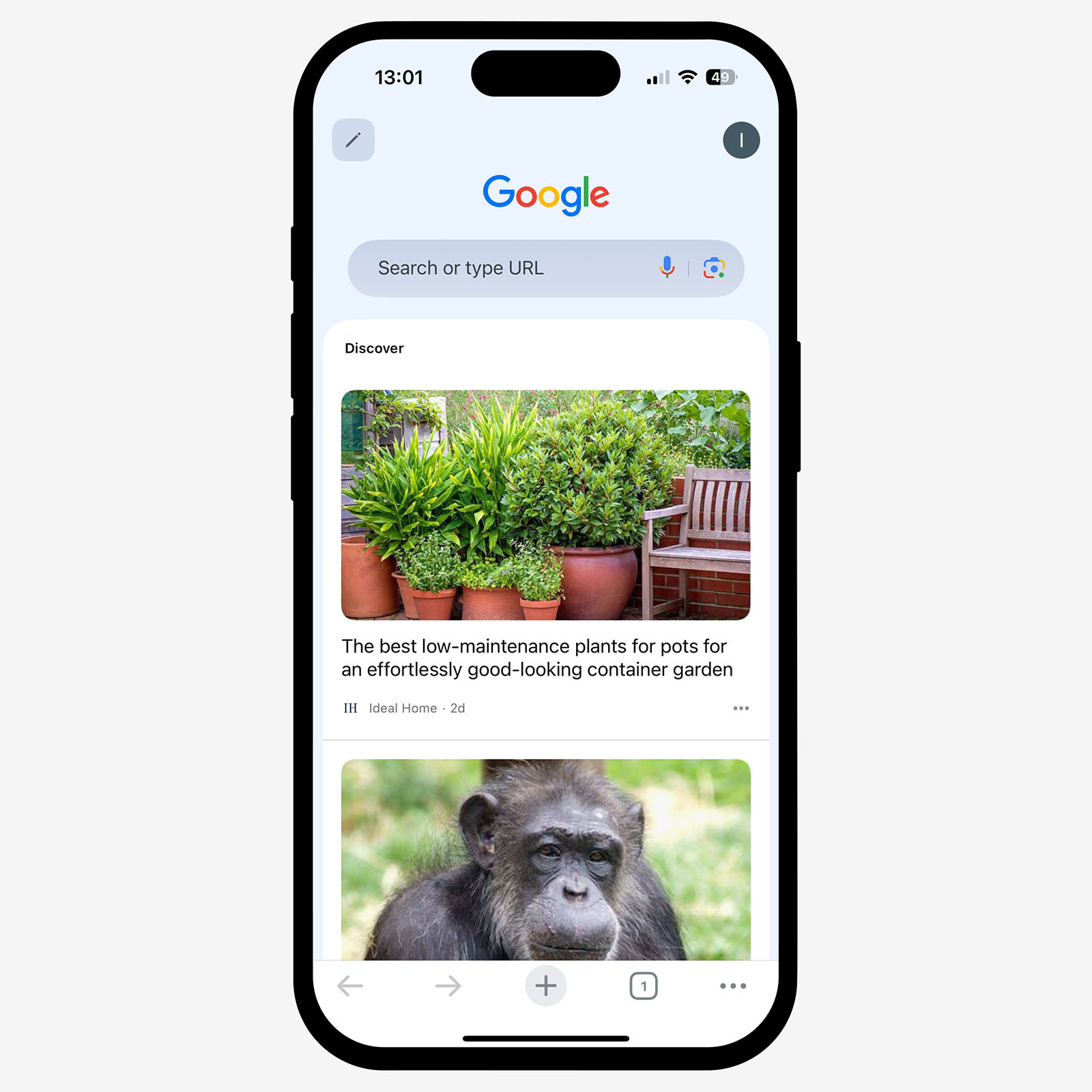 Google Discover 